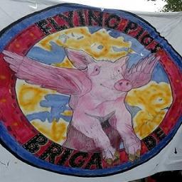 Piigslondon's profile picture. Facebook: P.I.I.G.S in London
Email: piigsinlondon@gmail.com