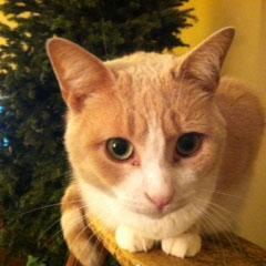 LeslieRuseDR's profile picture. 