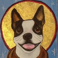 S Newman (@mrsnew) 's Twitter Profile
