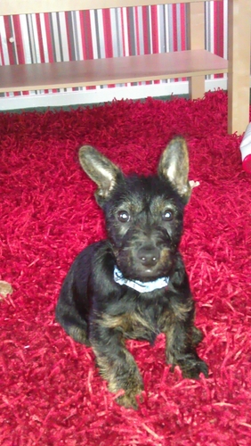 PhilHendrix11's profile picture. 