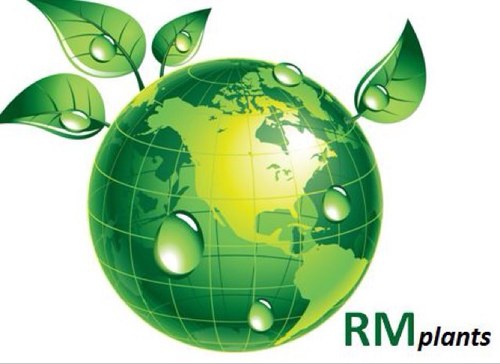 RM Plants, gespecialiseerd in import, opkweek en afkweek van mediterrane, tropische en aziatische indoor en outdoor planten.
