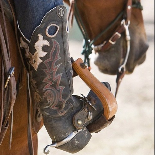 The Lord made me hard to handle. My horses are my pride and joy. Barrel Racer