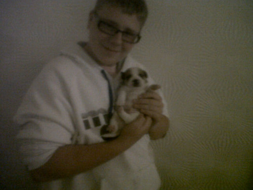 danielsmith189's profile picture. Spudd