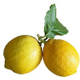 detoxdietnews's profile picture. clear body = clear mind. Detox diet are great, a healthy to reset the constant damage we submit our body through.