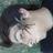 Profile Picture of Damián Alarcón (@Lokiyoo12) on Twitter