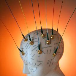 Brain research.