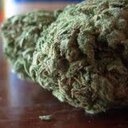 Conor Jacobs - @DankSocietySHS - Twitter