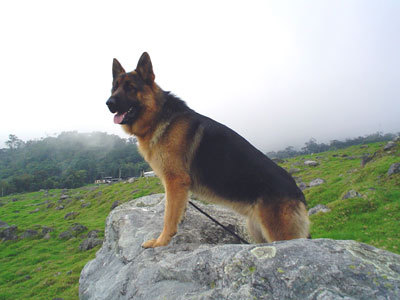 lorvera1's profile picture. 