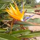 Michele Hurst - @MicheleHFG - Twitter