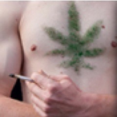I'm a licensed legal CA stoner who happens to be gay. I'm here, I'm queer, and I'm high AF. Good times. #gaystoner