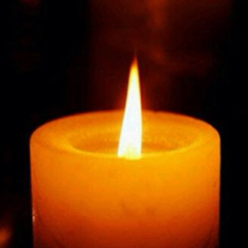 Lobonando's profile picture. 