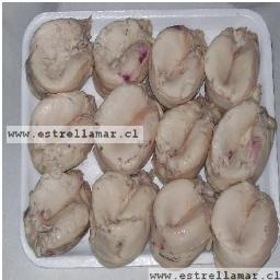 Empresa dedicada a la venta de productos del mar y carnes como cordero magallanico,congelados con reparto a domicilio gratuito en santiago