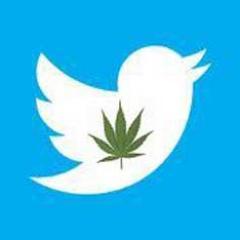 Smoke blunts fuck cunts, don't skeez just pass that doobie. Lifted high up in the air.