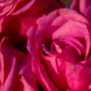 Rhoda Gonzalez - @rhodesg - Twitter
