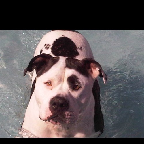 Gibby08Martin's profile picture. 