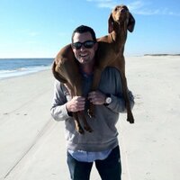 Gavin (@gjvander) 's Twitter Profile