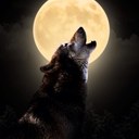 Chuck Kennedy - @Chucksterob1 - Twitter