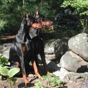 Wendy Leger - @Leger_Wendy - Twitter