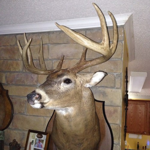 swift2hunt's profile picture. Lovin life, my family and the great outdoors