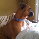 Sherry Covington - @shercov - Twitter