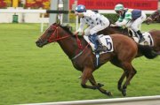 Price Bloodstock, the agent who produces winners, not luck. Price Bloodstock was the agent to multiple champions including Silent Witness in Hong Kong.