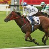 Price Bloodstock (@pricebloodstock) 's Twitter Profile