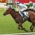 Price Bloodstock (@pricebloodstock) Twitter profile photo Price Bloodstock (@pricebloodstock) Twitter profile photo