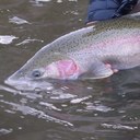 Chris Hendricks - @CHendricks48 - Twitter