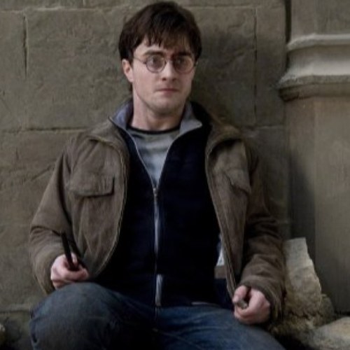 I am Harry Potter, the boy who lived. A student at Hogwarts of Witch Craft and Wizardy. #Parody/RP account