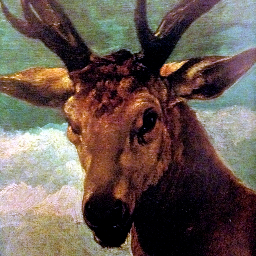 themusiclesson's profile picture. ain't gonna be no more later, this is all we got..