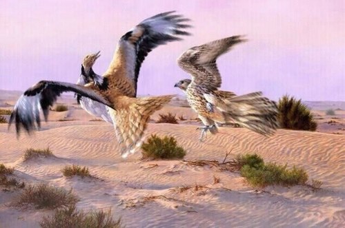 waleed8830's profile picture. 