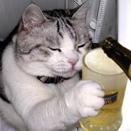 filelot1's profile picture. film / poem / novel ...
반도의 흔한 잉여