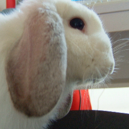 Mitiko_k's profile picture. 政治オタク、美術と本はほとんど病気です。