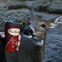 Nicolas Renaud - @Coldrent - Twitter