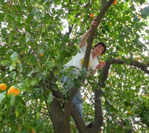 NDSUTreeClimbersClub