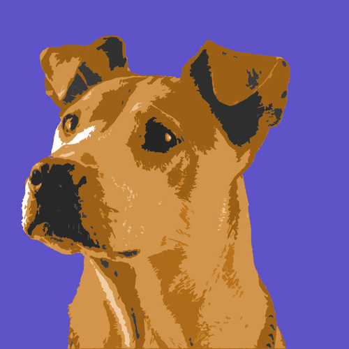 dallastochicago's profile picture. Entrepreneur and online biz owner in Act 3 of my life