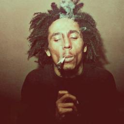 VBerk2011's profile picture. 