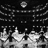Fan-Account der Semperoper (@semperoperdd) 's Twitter Profile