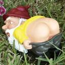 Patrick Lynn - @GatorLunch - Twitter