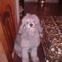 sandra ferrari - @sandraferrari4 - Twitter