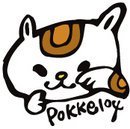 pokke104さんのプロフィール画像