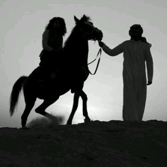 DramsKing's profile picture. الرياض