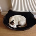 Claire field - @Clairefield4 - Twitter