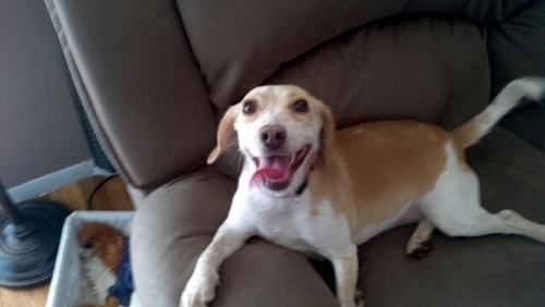 bespo0's profile picture. 