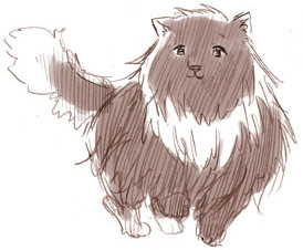 Meow meow Da~ Meow~? ¦#nekotalia¦ Owner:...?