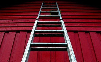 backyardproject's profile picture. 