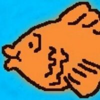 Aquakids (@aquakidsuk) 's Twitter Profile Photo