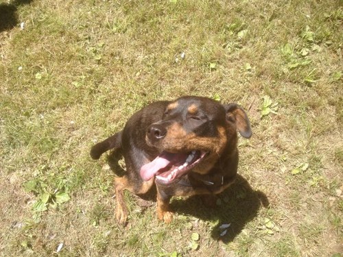 Mattyc8481's profile picture. 