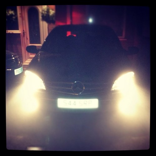 elzap11's profile picture. lets keep it to one life, and one life only!