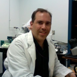 Professor of Molecular Pharmacology and Physiology, University of South Florida; President, The Microcirculatory Society